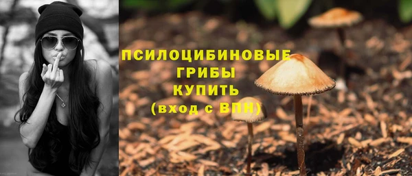прущие крисы Долгопрудный