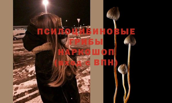 прущие крисы Долгопрудный