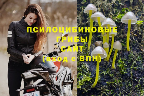 дмт Лихославль