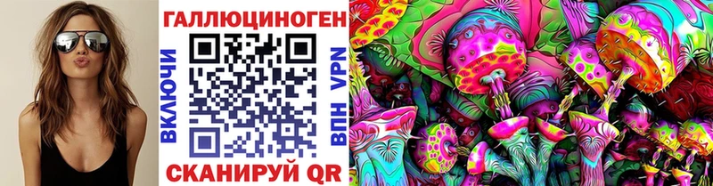Псилоцибиновые грибы ЛСД  omg ссылка  Дрезна  закладки 